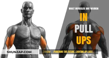Pull-Up Power: Muscles Engaged in This Ultimate Upper-Body Exercise