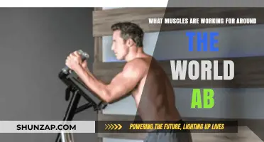Around the World Abs: Muscles Engaged in This Core Exercise