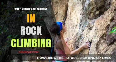 Unveiling the Key Muscles Engaged in Rock Climbing Performance