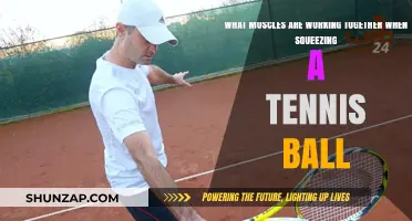 Muscles in Harmony: Unveiling the Grip Strength in Tennis Ball Squeezes
