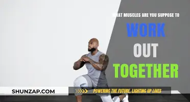 Effective Muscle Pairing: Which Groups to Train Together for Optimal Results