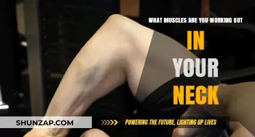 Unveiling the Neck's Muscles: A Guide to Targeted Workouts