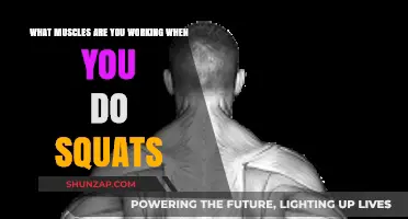 Squats: Targeting Key Muscles for Strength and Stability