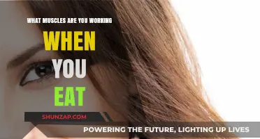 Chewing's Hidden Workout: Muscles Engaged While Eating Explained
