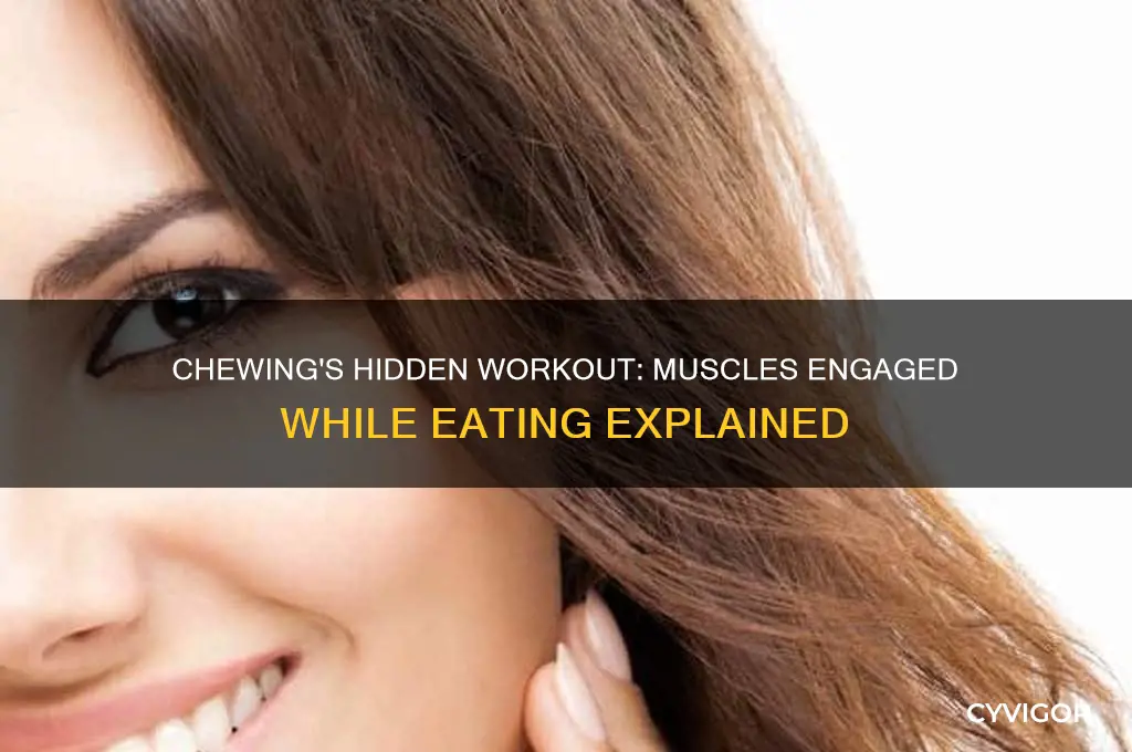 what muscles are you working when you eat