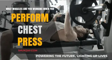 Chest Press Muscles: Targeted Areas and Benefits Explained