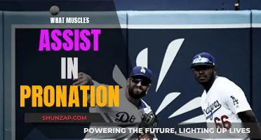 Pronation and the Muscles That Make It Happen