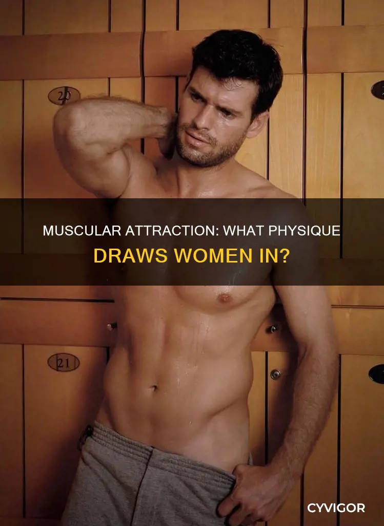 what muscles attract females