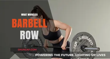 Barbell Row: Building a Strong Back