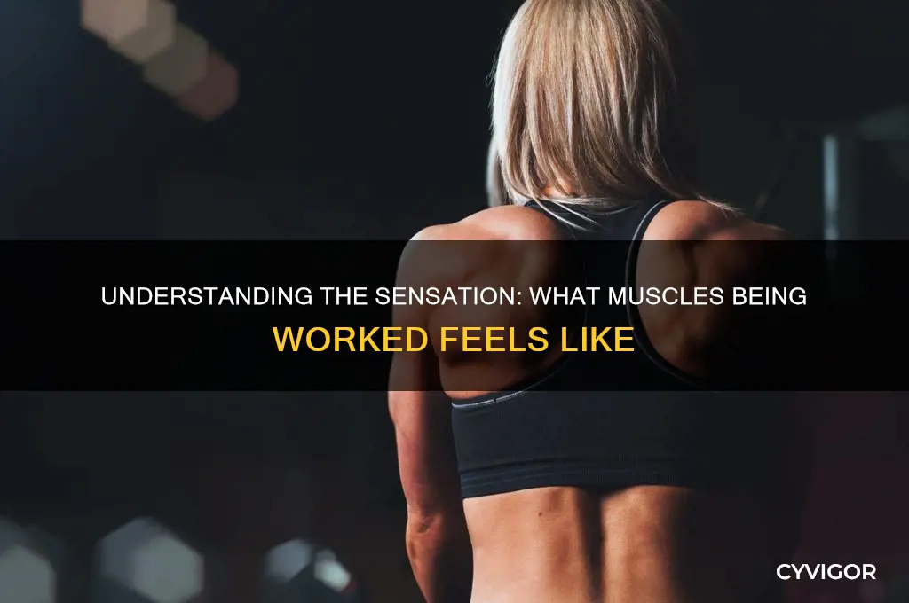 what muscles being worked feels like