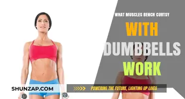 Dumbbell Bench Curtsy: Targeted Muscles and Benefits Explained