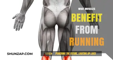 Running: Strengthening Your Leg and Core Muscles