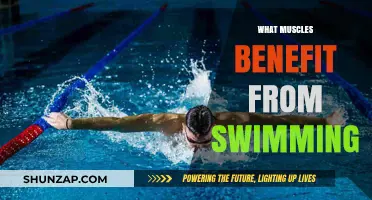 Swimming Workout: Target These Muscle Groups