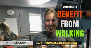 Walking: A Full-Body Workout