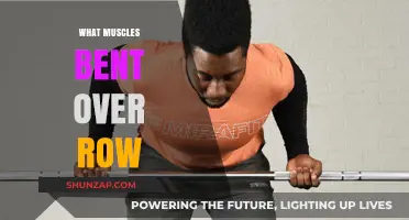 Back and Arm Muscles: Bent-Over Rows