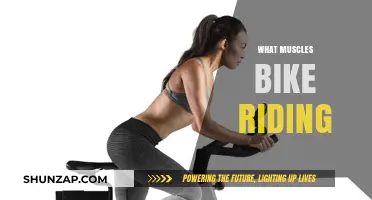 Cycling's Impact: Which Muscles Does Bike Riding Work?