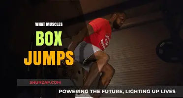 Explosive Box Jumps: Targeting Lower Body Muscles