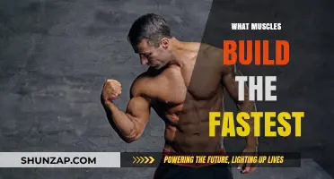 Unlocking Rapid Muscle Growth: A Guide to the Fastest-Building Muscles