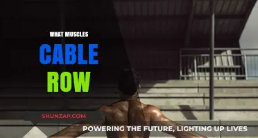 Rowing for Muscle Definition and Strength
