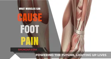 Foot Pain Culprits: Muscles That Could Be Causing Your Discomfort