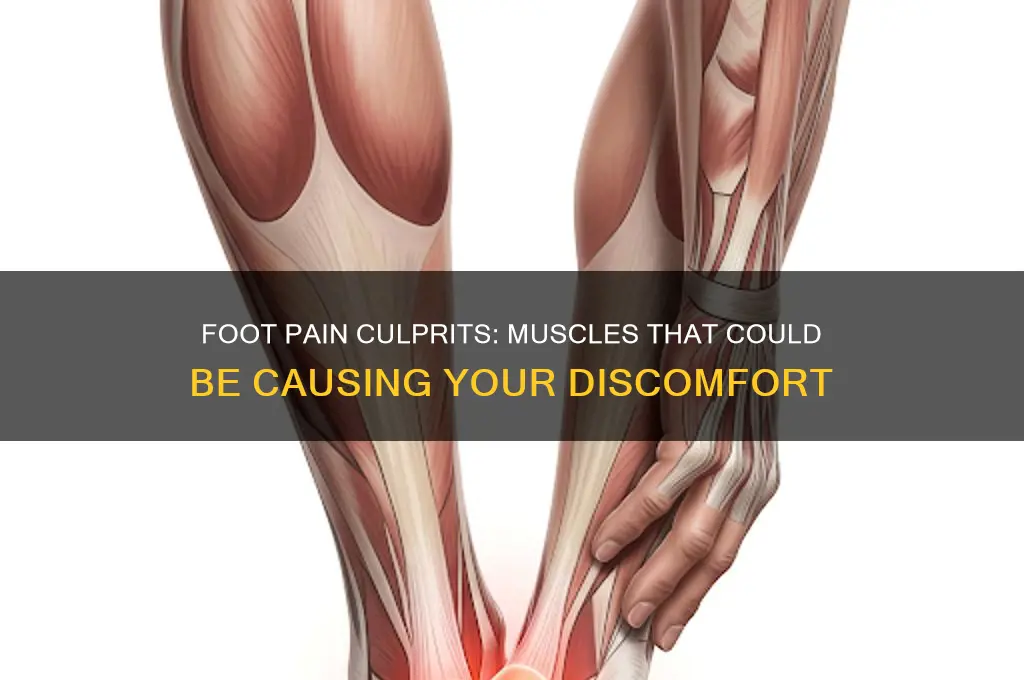what muscles can cause foot pain