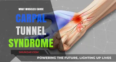 Understanding Carpal Tunnel Syndrome: Muscles and Their Role in Wrist Pain