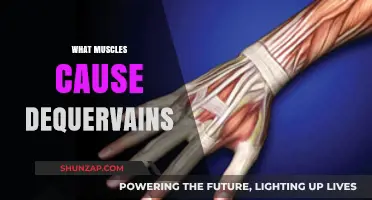 Understanding De Quervain's: Muscles and Movements That Trigger the Pain