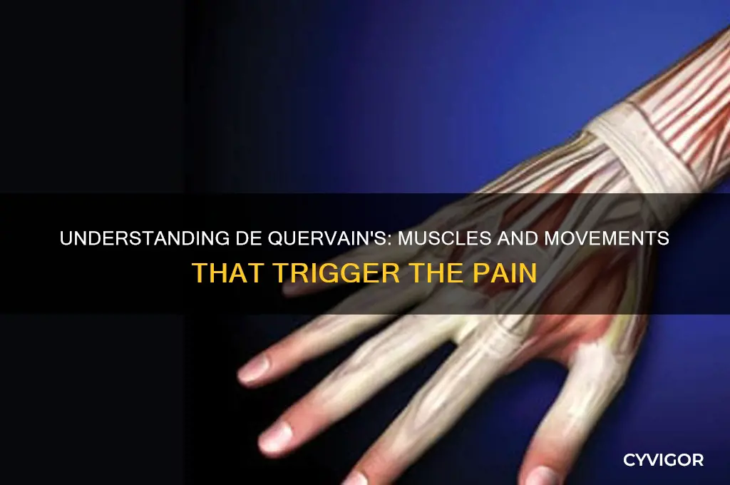 what muscles cause dequervains