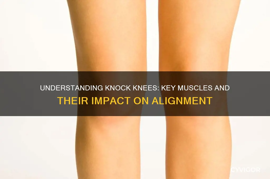 what muscles cause knock knees