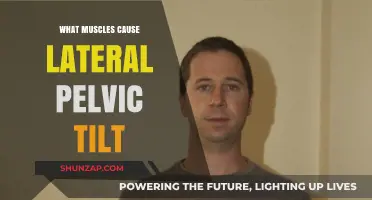 Muscles Behind Lateral Pelvic Tilt: Causes and Solutions Explained