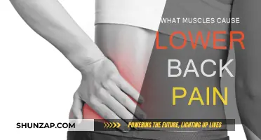 Understanding Lower Back Pain: Muscle Culprits
