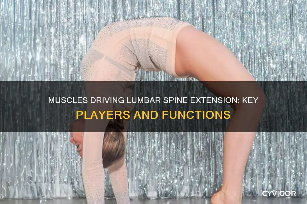 what muscles cause lumbar spine extension