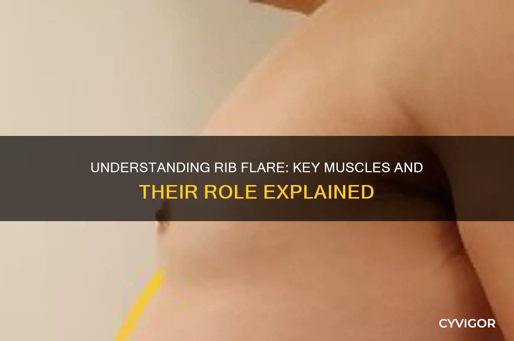 what muscles cause rib flare