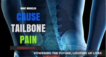 Understanding Tailbone Pain: Muscles That May Be the Culprit