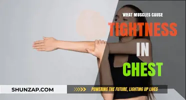 Chest Tightness: Identifying Muscles That Cause Discomfort and Tension