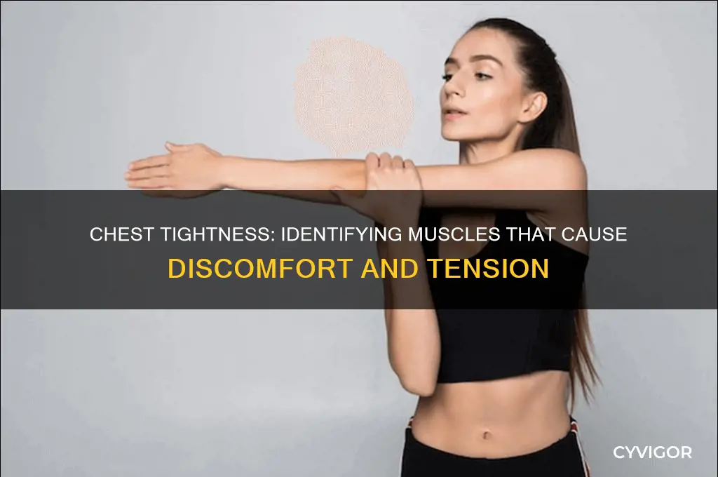 what muscles cause tightness in chest
