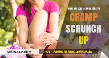Toe Cramps and Scrunching: Muscles Behind the Uncomfortable Sensation
