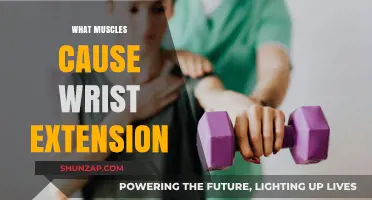 Muscles Behind Wrist Extension: Understanding the Key Players in Movement