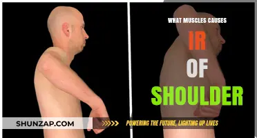Understanding Shoulder Impingement: Key Muscles and Their Role in IR
