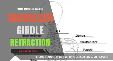 Muscles Responsible for Shoulder Girdle Retraction: A Comprehensive Guide