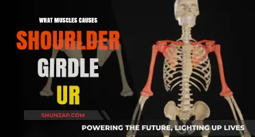 Understanding Shoulder Girdle Pain: Muscles That Cause Discomfort Explained