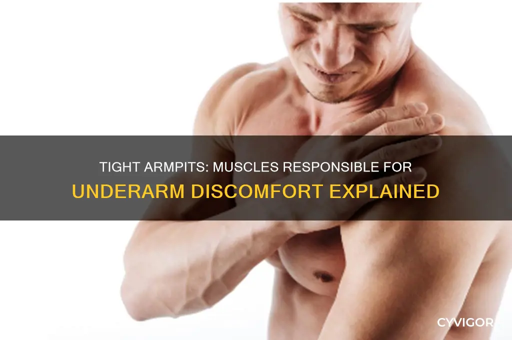 what muscles causes tightness in the arm pit