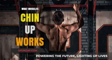 Chin-Ups: Targeted Muscles and Full-Body Strength Benefits Explained