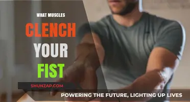 Clenching Your Fist: Which Muscles Are Involved?