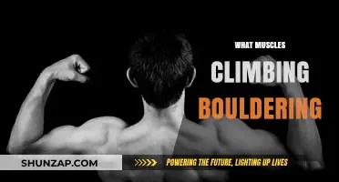 Climbing Bouldering: Which Muscles Are Key?