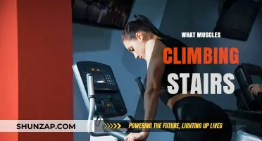 Stair Climbing: A Full-Body Workout