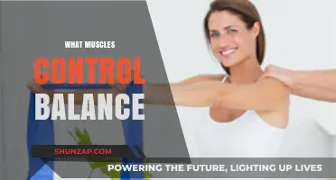 Master Your Balance: Muscles for Stability