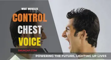 Chest Voice Muscles: What You Need to Know