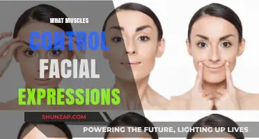 Facial Expressions: Muscles Behind Our Emotions