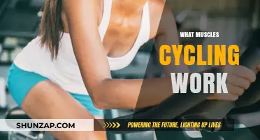 Cycling's Muscle Power: Unlocking Strength and Endurance on Two Wheels